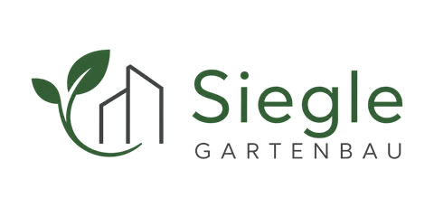 Logo Footer